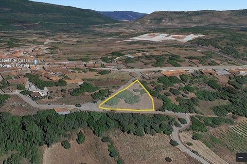 Terra a Soure, Coimbra, Soure - € 30.000 | Ref: 85338 - foto 3