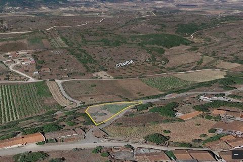 Terra a Soure, Coimbra, Soure - € 30.000 | Ref: 85338 - foto 5