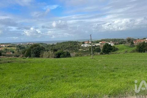Terra a Alcobaca, Leiria, Alcobaca - € 130.000 | Ref: 106549 - foto 2