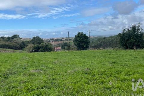 Terra a Alcobaca, Leiria, Alcobaca - € 130.000 | Ref: 106549 - foto 3