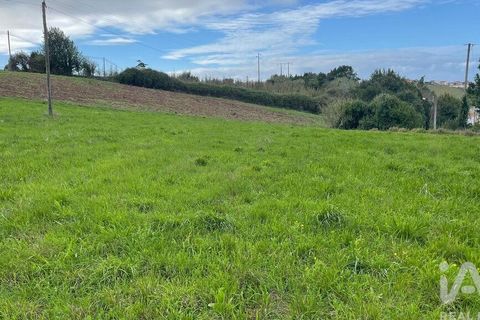 Terra a Alcobaca, Leiria, Alcobaca - € 130.000 | Ref: 106549 - foto 4