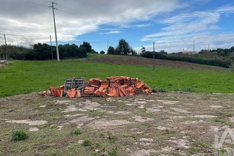 Terra a Alcobaca, Leiria, Alcobaca - € 130.000 | Ref: 106549 - foto 5