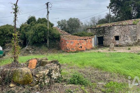 Terra a Alcobaca, Leiria, Alcobaca - € 130.000 | Ref: 106549 - foto 6