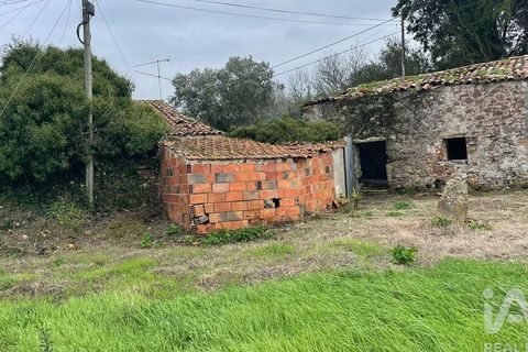 Terra a Alcobaca, Leiria, Alcobaca - € 130.000 | Ref: 106549 - foto 7