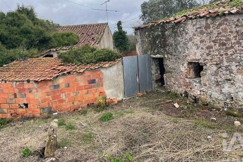 Terra a Alcobaca, Leiria, Alcobaca - € 130.000 | Ref: 106549 - foto 8