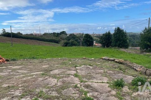 Terra a Alcobaca, Leiria, Alcobaca - € 130.000 | Ref: 106549 - foto 9