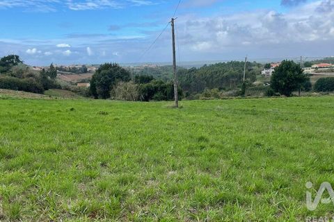 Terra a Alcobaca, Leiria, Alcobaca - € 130.000 | Ref: 106549 - foto 10