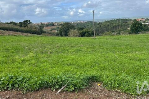 Terra a Alcobaca, Leiria, Alcobaca - € 130.000 | Ref: 106549 - foto 11