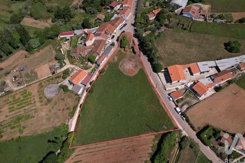 Terra a Alcobaca, Leiria, Alcobaca - € 130.000 | Ref: 106549 - foto 13