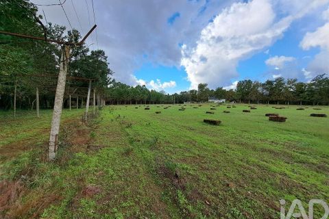Helårsgrund i Braga, Braga, Braga - € 2.490.000 | Ref: 106024 - foto 3