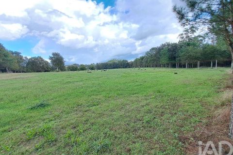 Helårsgrund i Braga, Braga, Braga - € 2.490.000 | Ref: 106024 - foto 7
