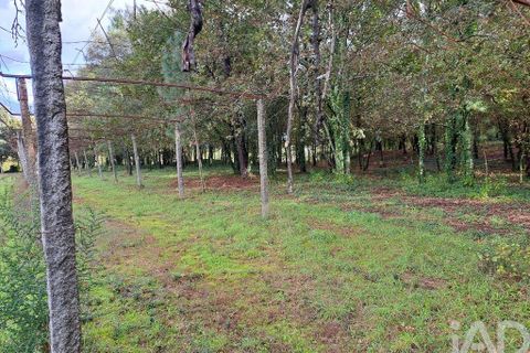 Helårsgrund i Braga, Braga, Braga - € 2.490.000 | Ref: 106024 - foto 8