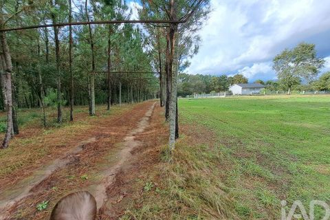 Helårsgrund i Braga, Braga, Braga - € 2.490.000 | Ref: 106024 - foto 13