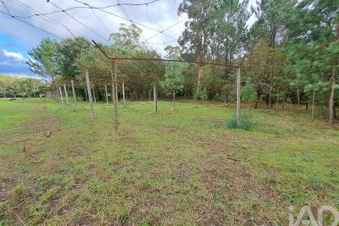 Helårsgrund i Braga, Braga, Braga - € 2.490.000 | Ref: 106024 - foto 15