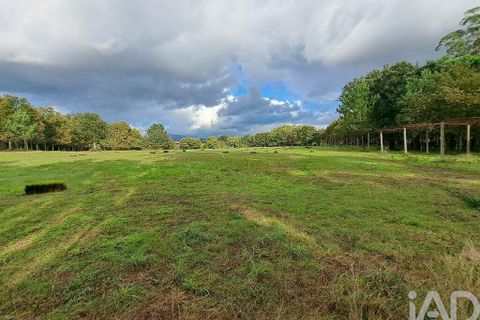 Helårsgrund i Braga, Braga, Braga - € 2.490.000 | Ref: 106024 - foto 16