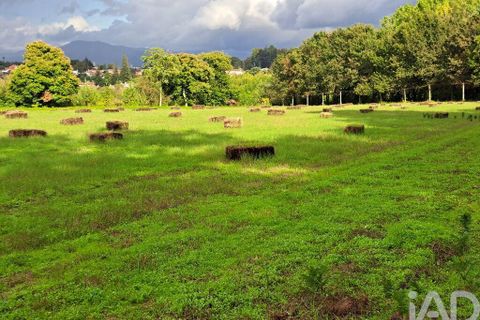 Helårsgrund i Braga, Braga, Braga - € 2.490.000 | Ref: 106024 - foto 19