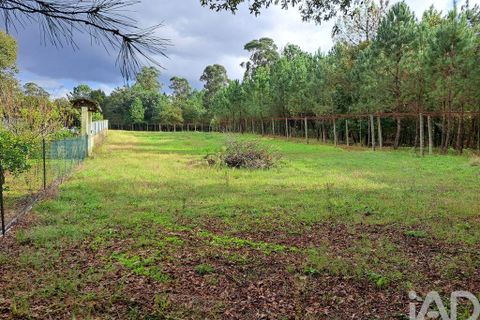 Helårsgrund i Braga, Braga, Braga - € 2.490.000 | Ref: 106024 - foto 20