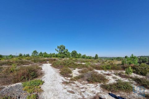 Tomt i Seixal, Setubal, Seixal - € 7 500 000 | Ref: 105998 - foto 4