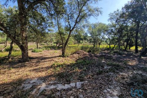 Tomt i Seixal, Setubal, Seixal - € 7 500 000 | Ref: 105998 - foto 5