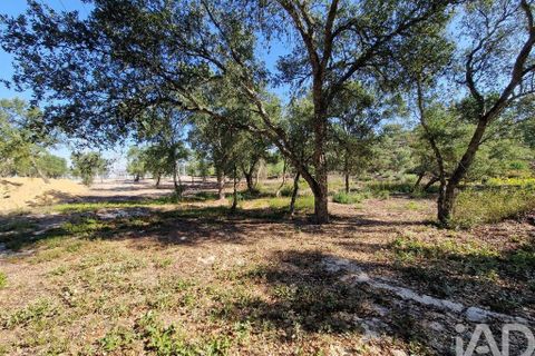 Tomt i Seixal, Setubal, Seixal - € 7 500 000 | Ref: 105998 - foto 10