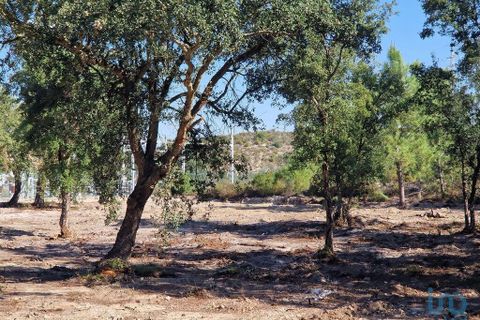 Tomt i Seixal, Setubal, Seixal - € 7 500 000 | Ref: 105998 - foto 13