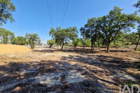 Tomt i Seixal, Setubal, Seixal - € 7 500 000 | Ref: 105998 - foto 15