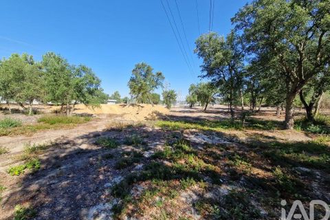 Tomt i Seixal, Setubal, Seixal - € 7 500 000 | Ref: 105998 - foto 16