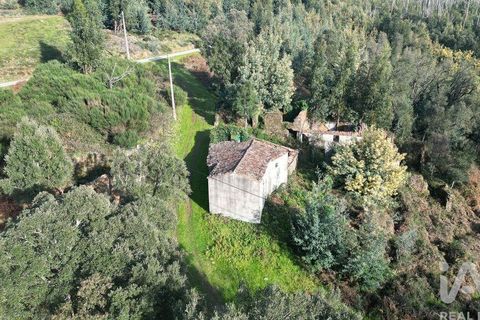 Byhus i Penela, Coimbra, Penela - € 16.000 | Ref: 113252 - foto 3