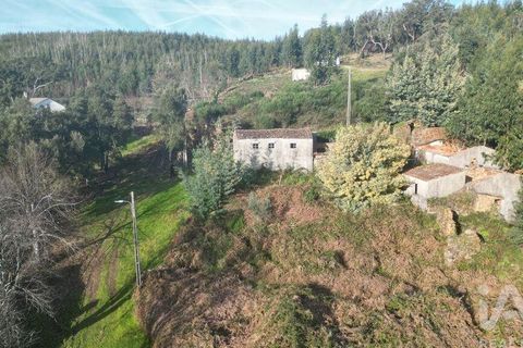 Byhus i Penela, Coimbra, Penela - € 16.000 | Ref: 113252 - foto 4