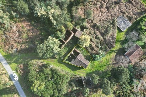 Byhus i Penela, Coimbra, Penela - € 16.000 | Ref: 113252 - foto 6