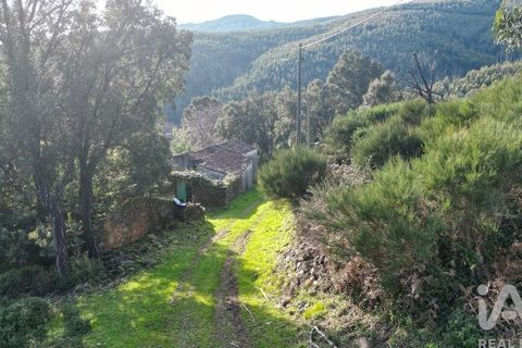 Byhus i Penela, Coimbra, Penela - € 16.000 | Ref: 113252 - foto 8