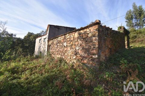 Byhus i Penela, Coimbra, Penela - € 16.000 | Ref: 113252 - foto 10