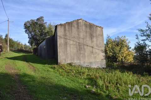 Byhus i Penela, Coimbra, Penela - € 16.000 | Ref: 113252 - foto 11