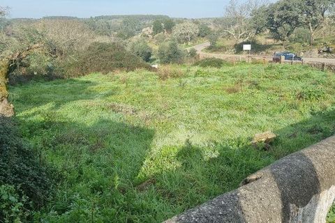 Terra a Nisa, Portalegre, Nisa - € 12.500 | Ref: 112080 - foto 2