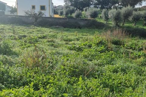 Terra a Nisa, Portalegre, Nisa - € 12.500 | Ref: 112080 - foto 3