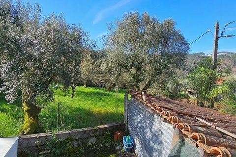 Byhus i Penela, Coimbra, Penela - € 50.000 | Ref: 114116 - foto 9