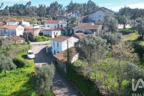 Byhus i Penela, Coimbra, Penela - € 50.000 | Ref: 114116 - foto 20