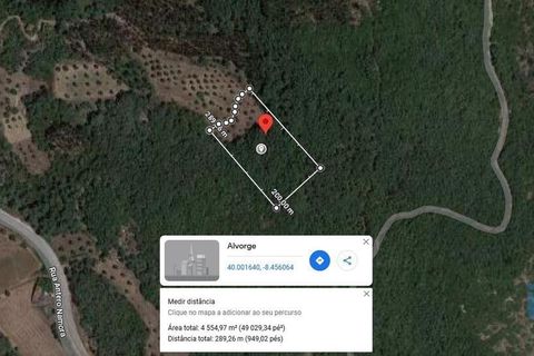 Terra a Ansiao, Leiria, Ansiao - € 7.800 | Ref: 107437 - foto 2