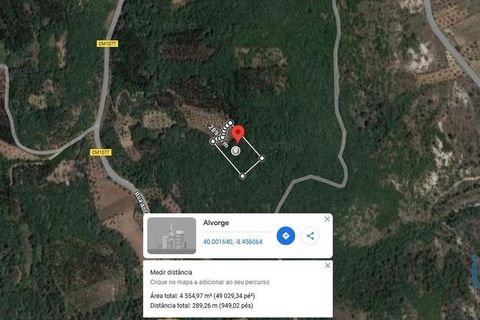 Terra a Ansiao, Leiria, Ansiao - € 7.800 | Ref: 107437 - foto 3