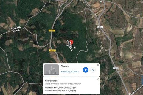 Terra a Ansiao, Leiria, Ansiao - € 7.800 | Ref: 107437 - foto 4