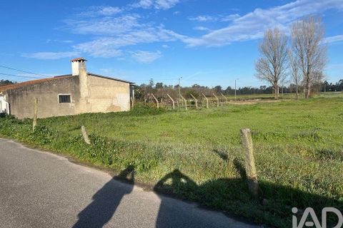 Terra a Estarreja, Aveiro, Estarreja - € 55.000 | Ref: 114910 - foto 2