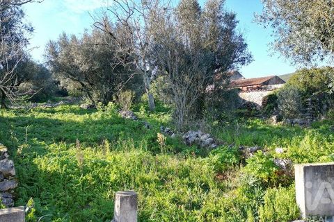 Rækkehus i Penela, Coimbra, Penela - € 40.000 | Ref: 114120 - foto 12