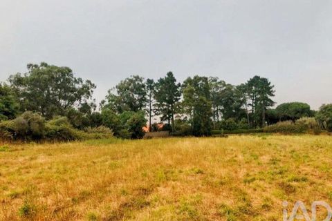 Terra a Sintra, Lisbon, Sintra - € 800.000 | Ref: 53418 - foto 2