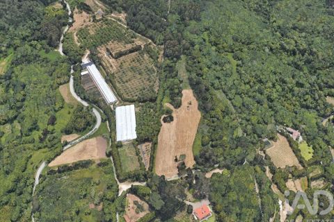 Terra a Sintra, Lisbon, Sintra - € 800.000 | Ref: 53418 - foto 6