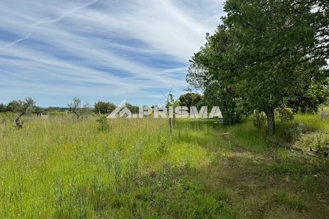 Helårsgrund i Fundao, Castelo Branco, Fundao - € 149.000 | Ref: PP4370 - foto 1