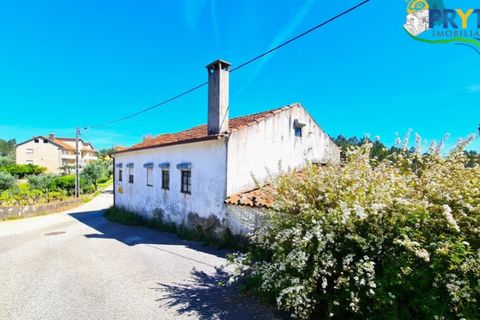Farm i Serta, Castelo Branco, Serta - € 65.000 | Ref: AS139 - foto 3