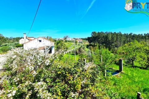 Farm i Serta, Castelo Branco, Serta - € 65.000 | Ref: AS139 - foto 4