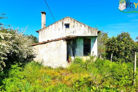 Farm i Serta, Castelo Branco, Serta - € 65.000 | Ref: AS139 - foto 5