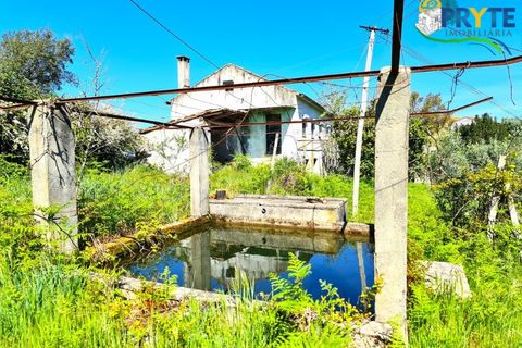Farm i Serta, Castelo Branco, Serta - € 65.000 | Ref: AS139 - foto 7