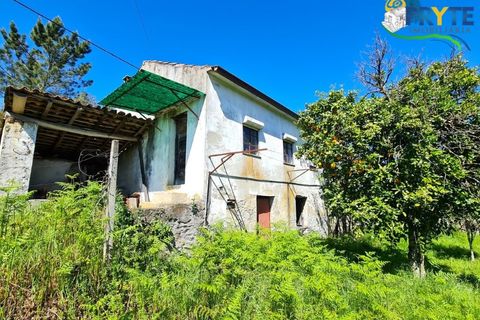 Farm i Serta, Castelo Branco, Serta - € 65.000 | Ref: AS139 - foto 8